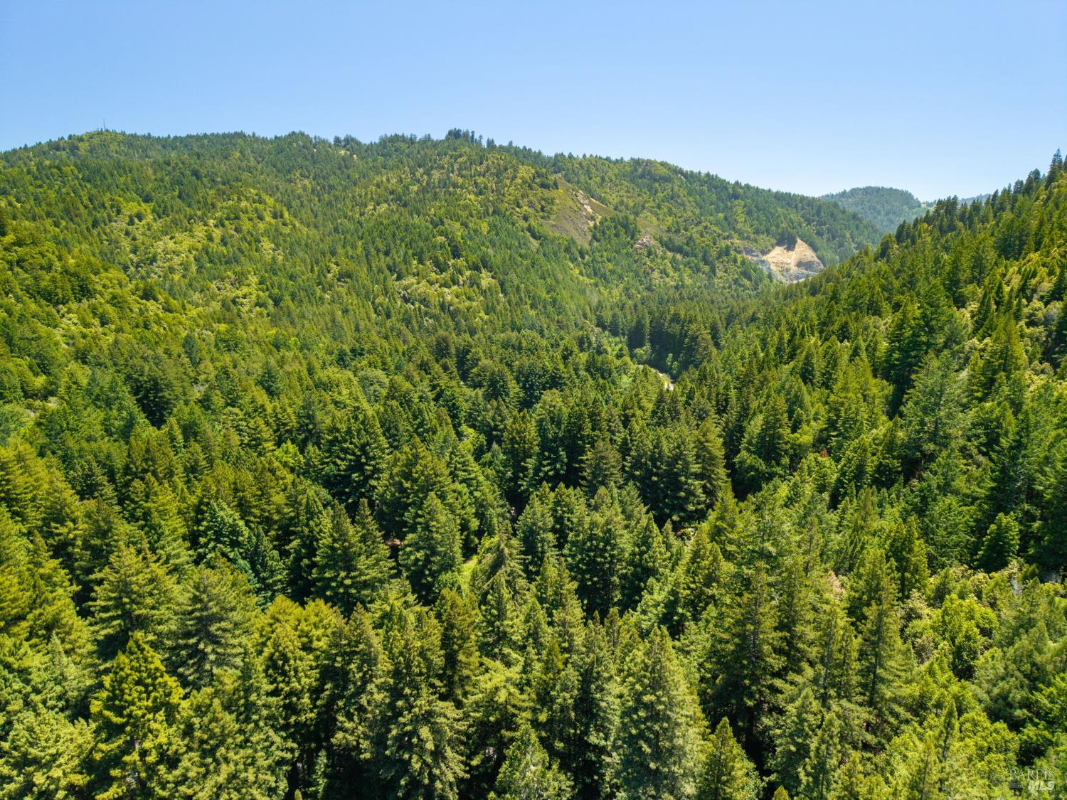 1585 Cazadero Highway