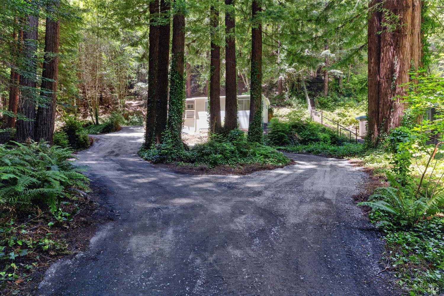 1585 Cazadero Highway