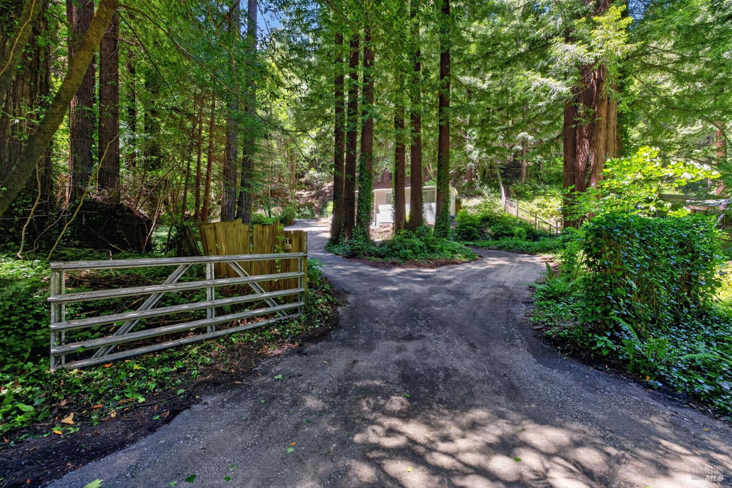 1585 Cazadero Highway