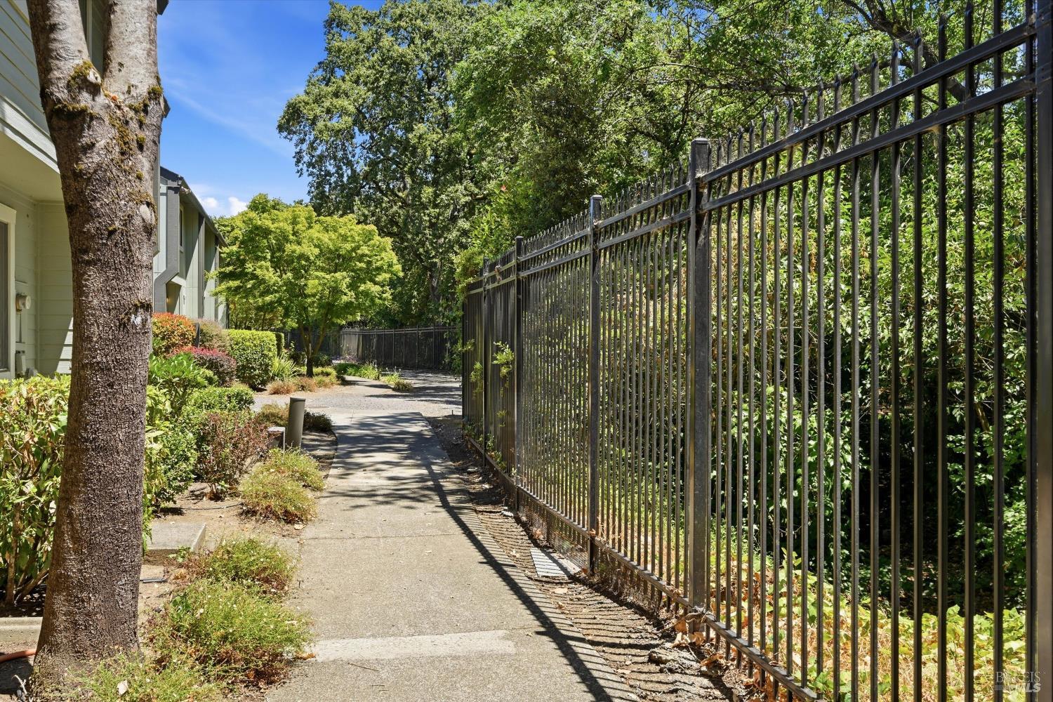 323 Harvest Lane