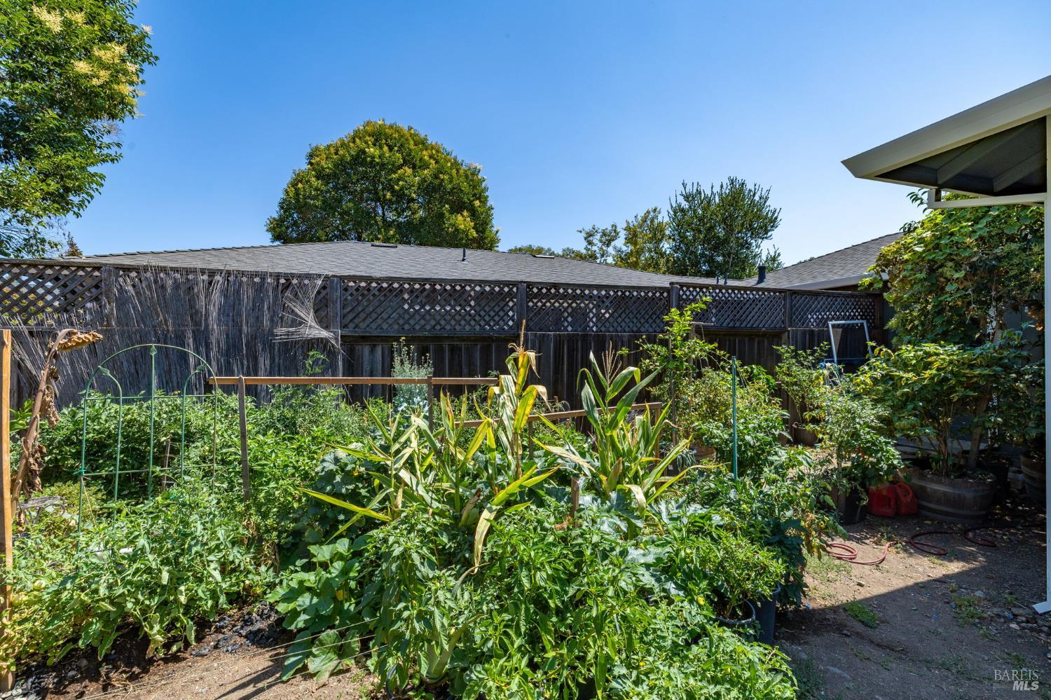 18847 Park Tree Lane