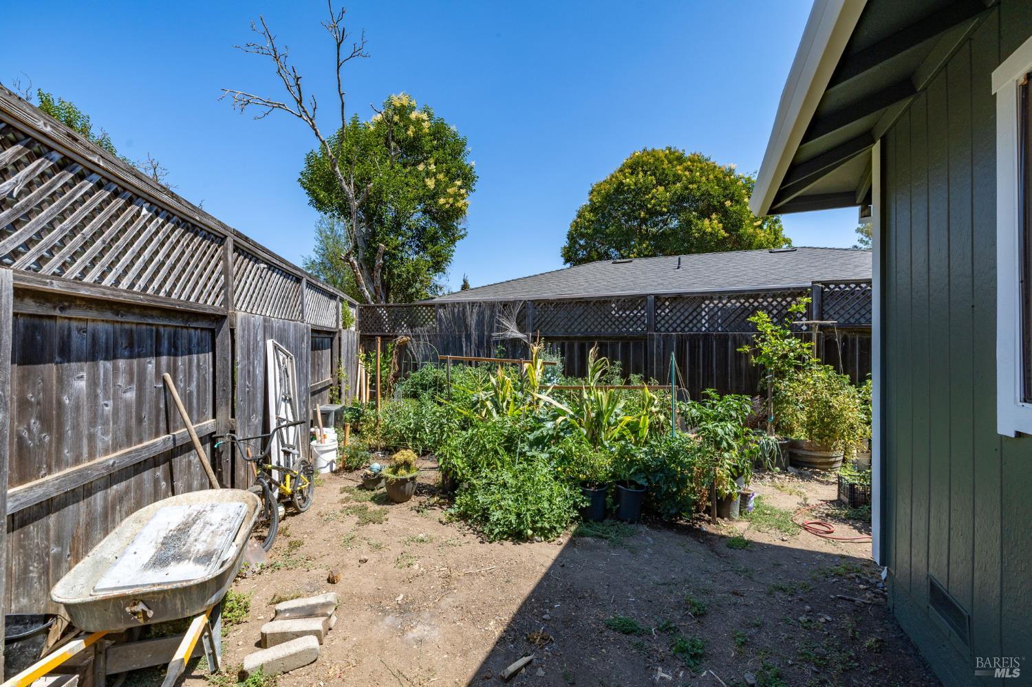 18847 Park Tree Lane