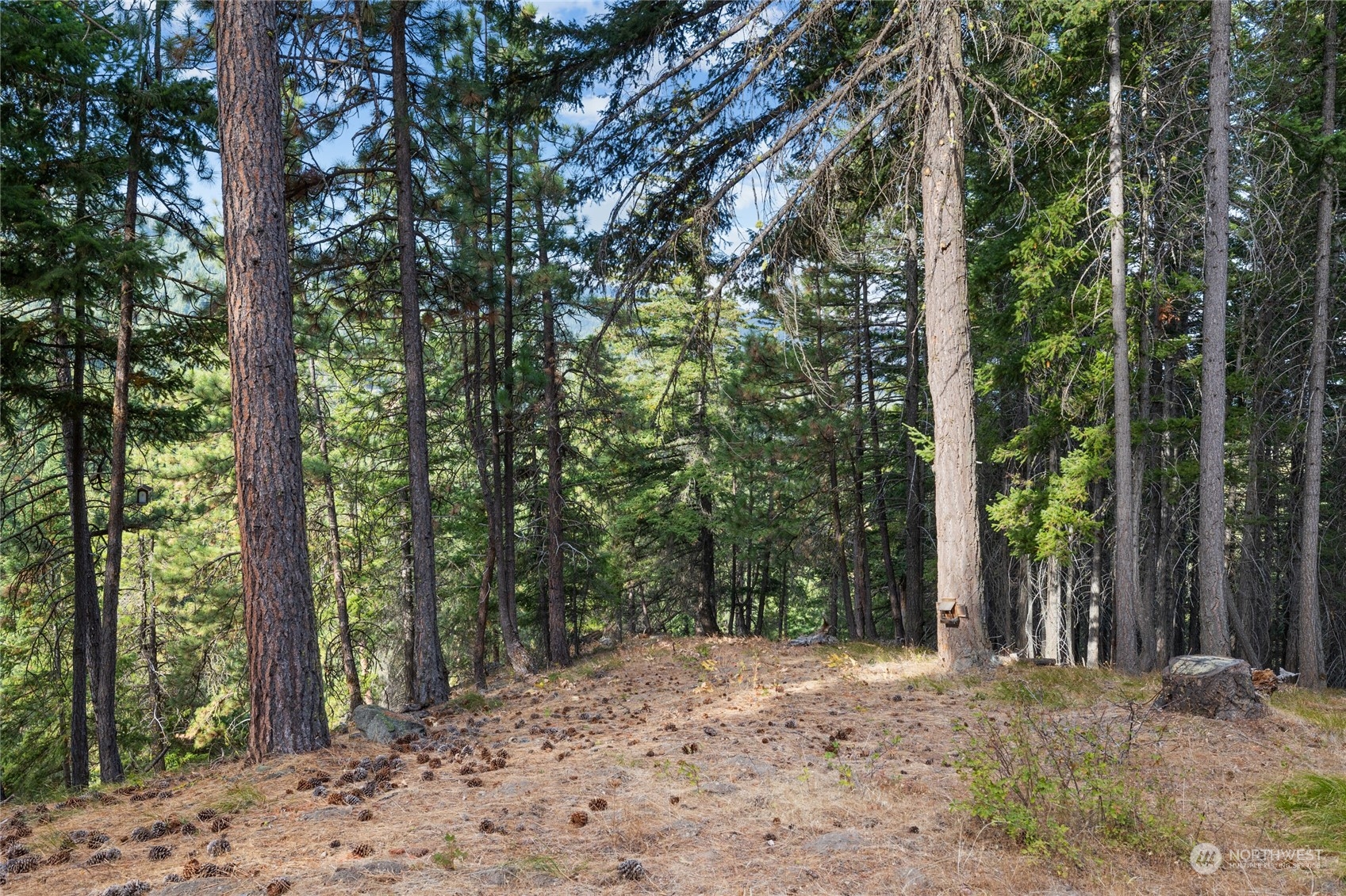 211 Sunshine Ridge Road