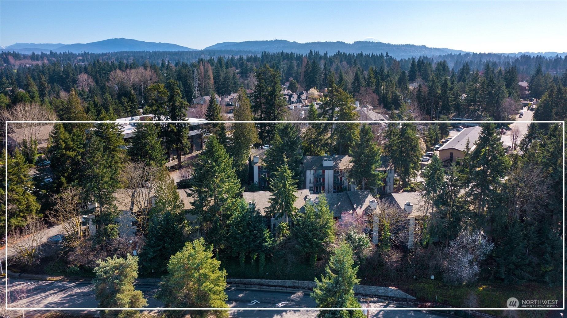 12117 NE Bel-Red Rd Unit: B-102