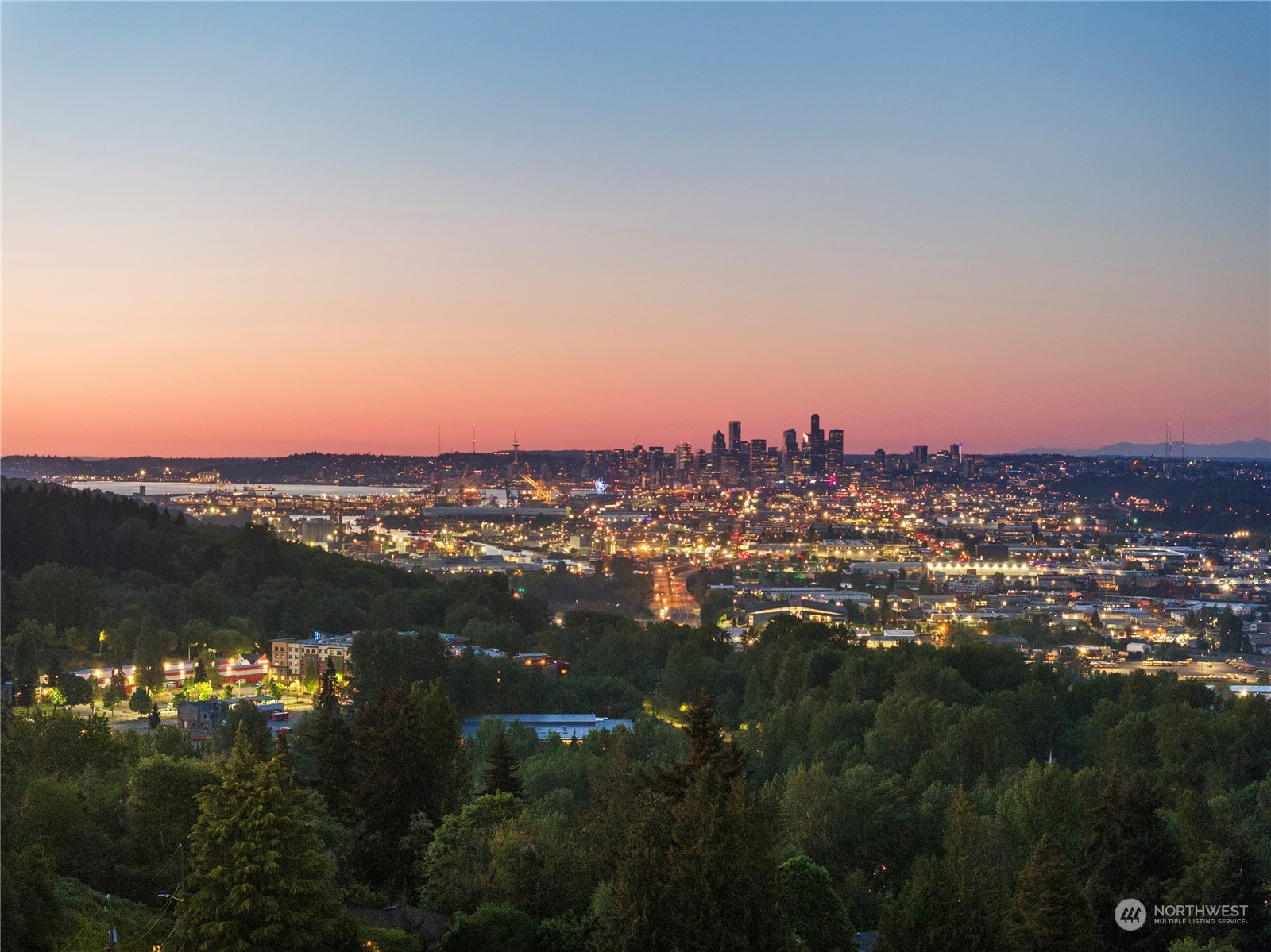 10213 Occidental Avenue S