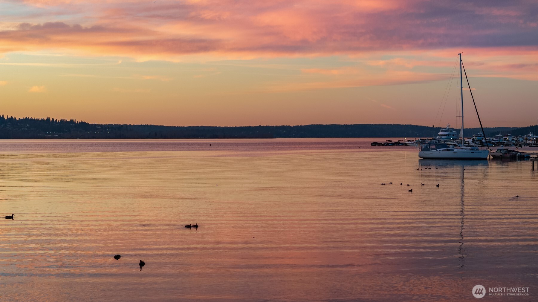 4437 Lake Washington Boulevard NE Unit: 202