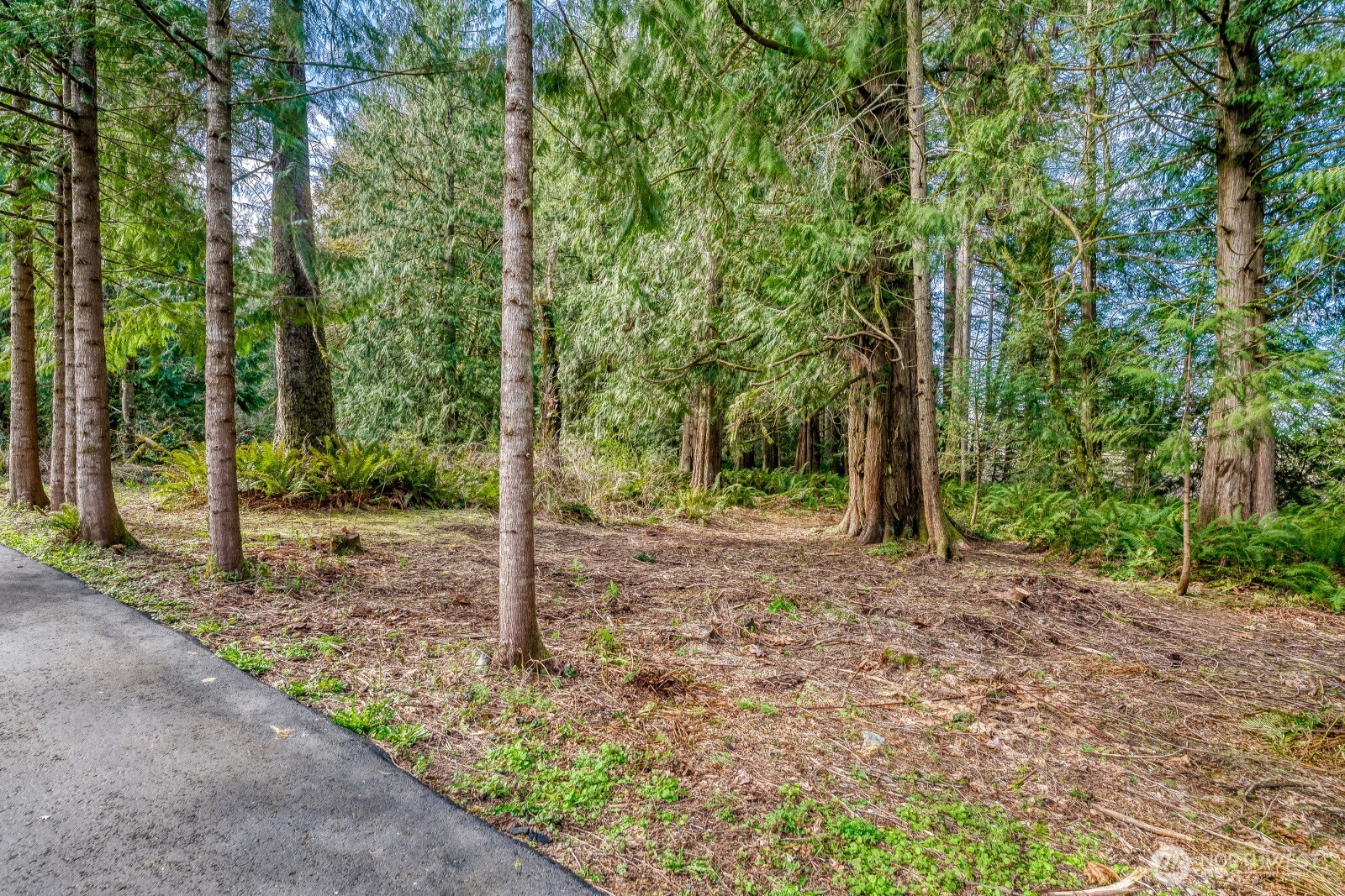 38805 258th Avenue SE