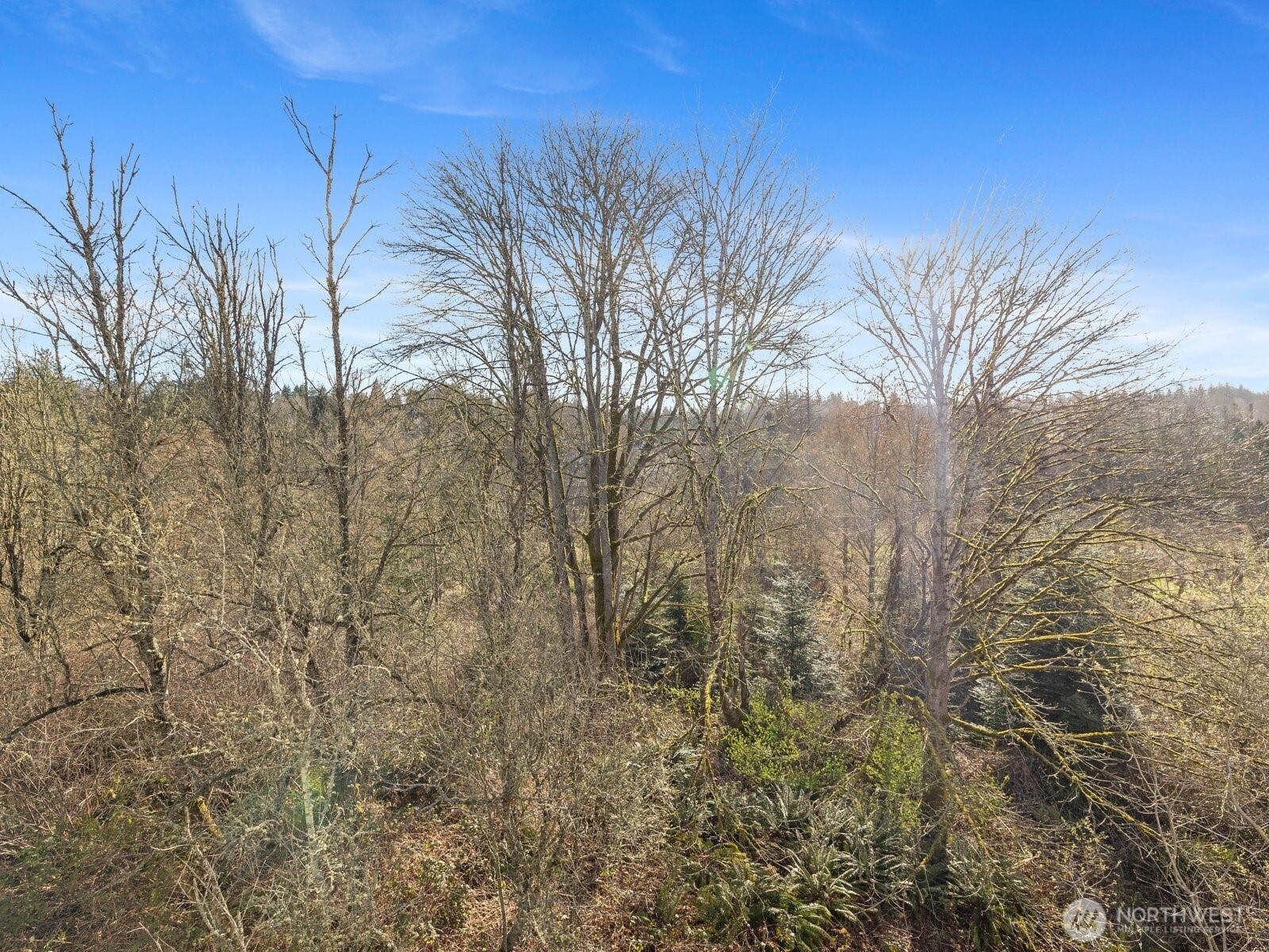 2244 132nd Avenue SE Unit: B214