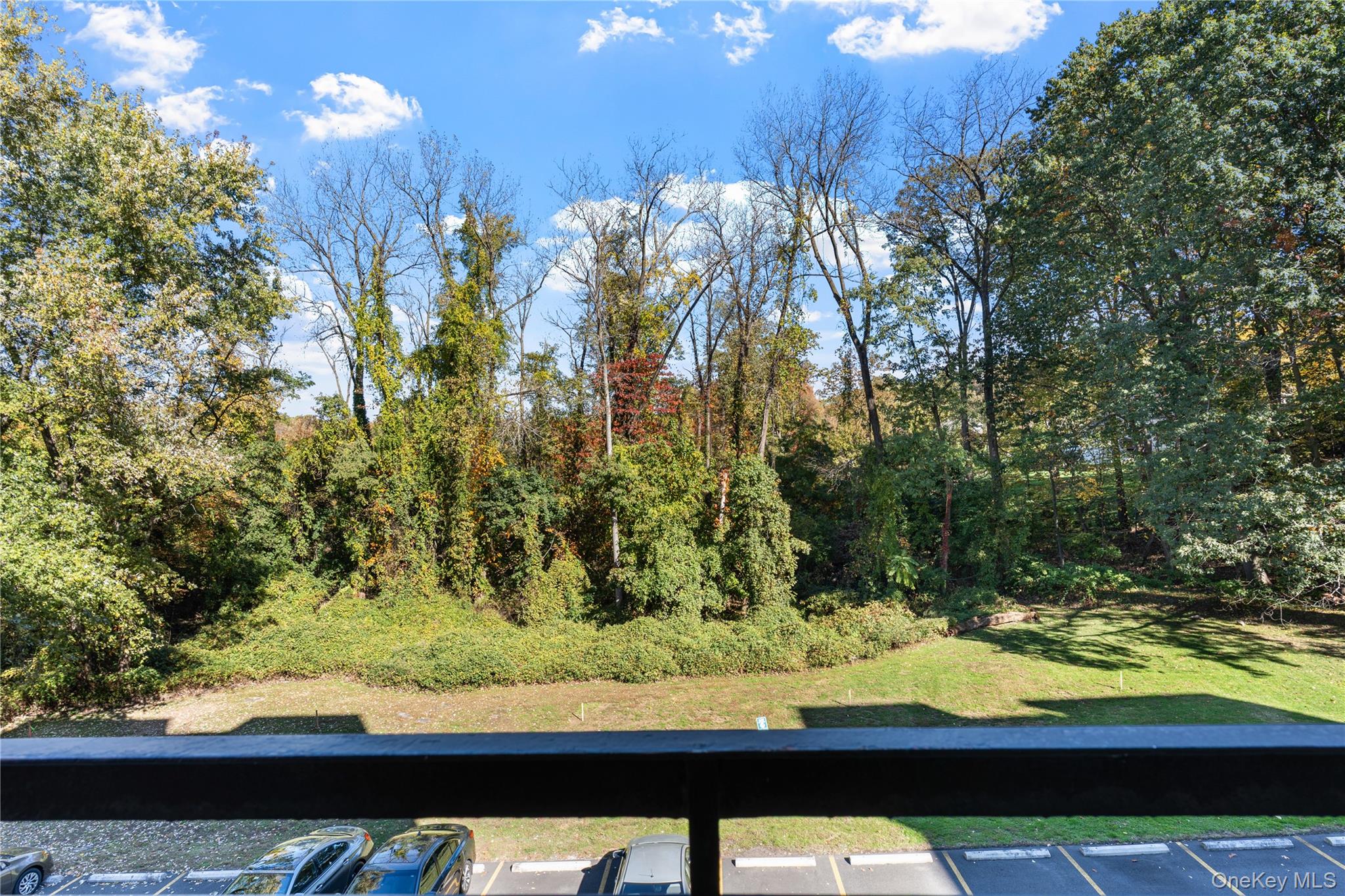 1133 Midland Avenue Unit: 3D