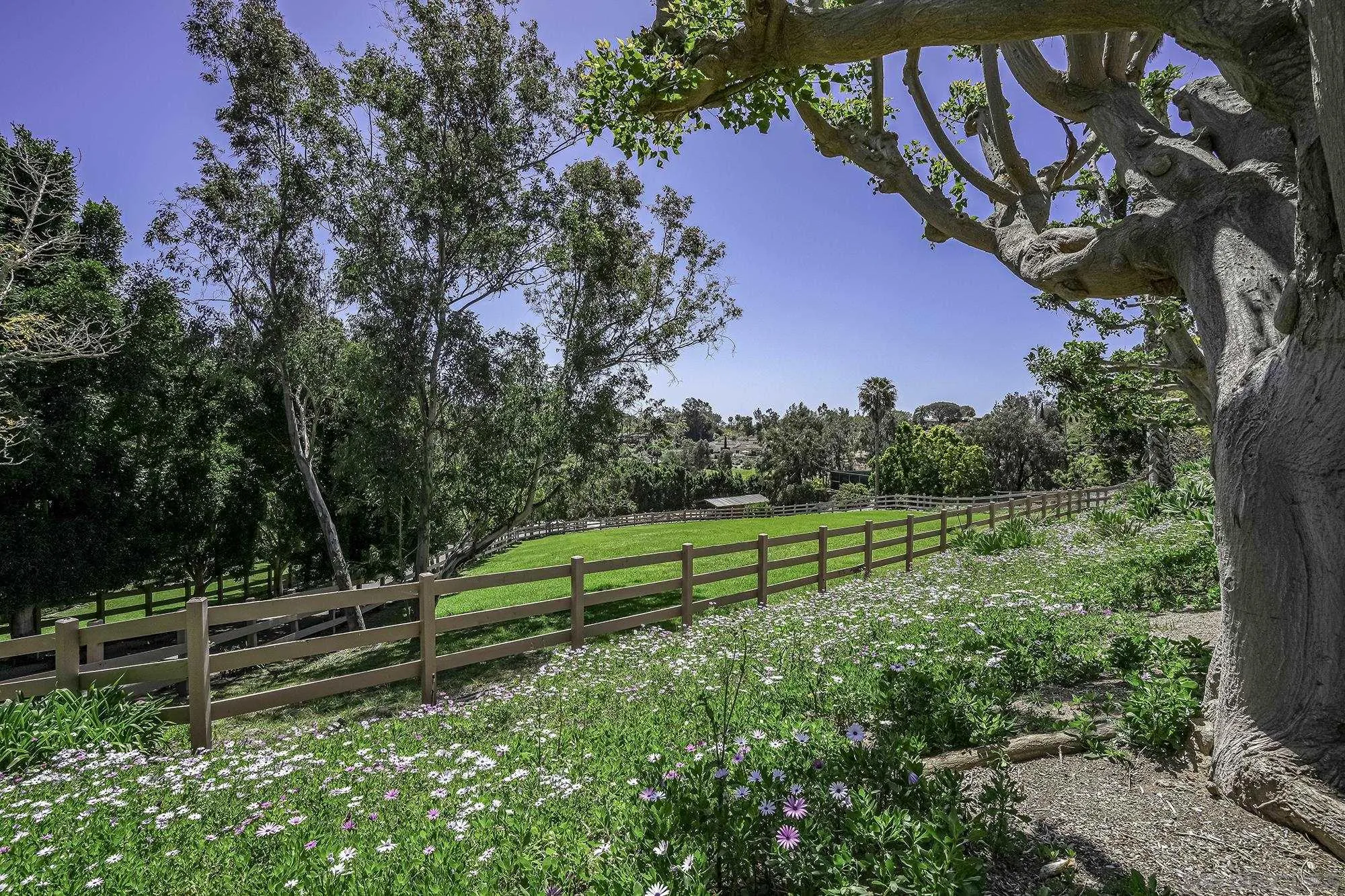5305 La Crescenta, Rancho Santa Fe