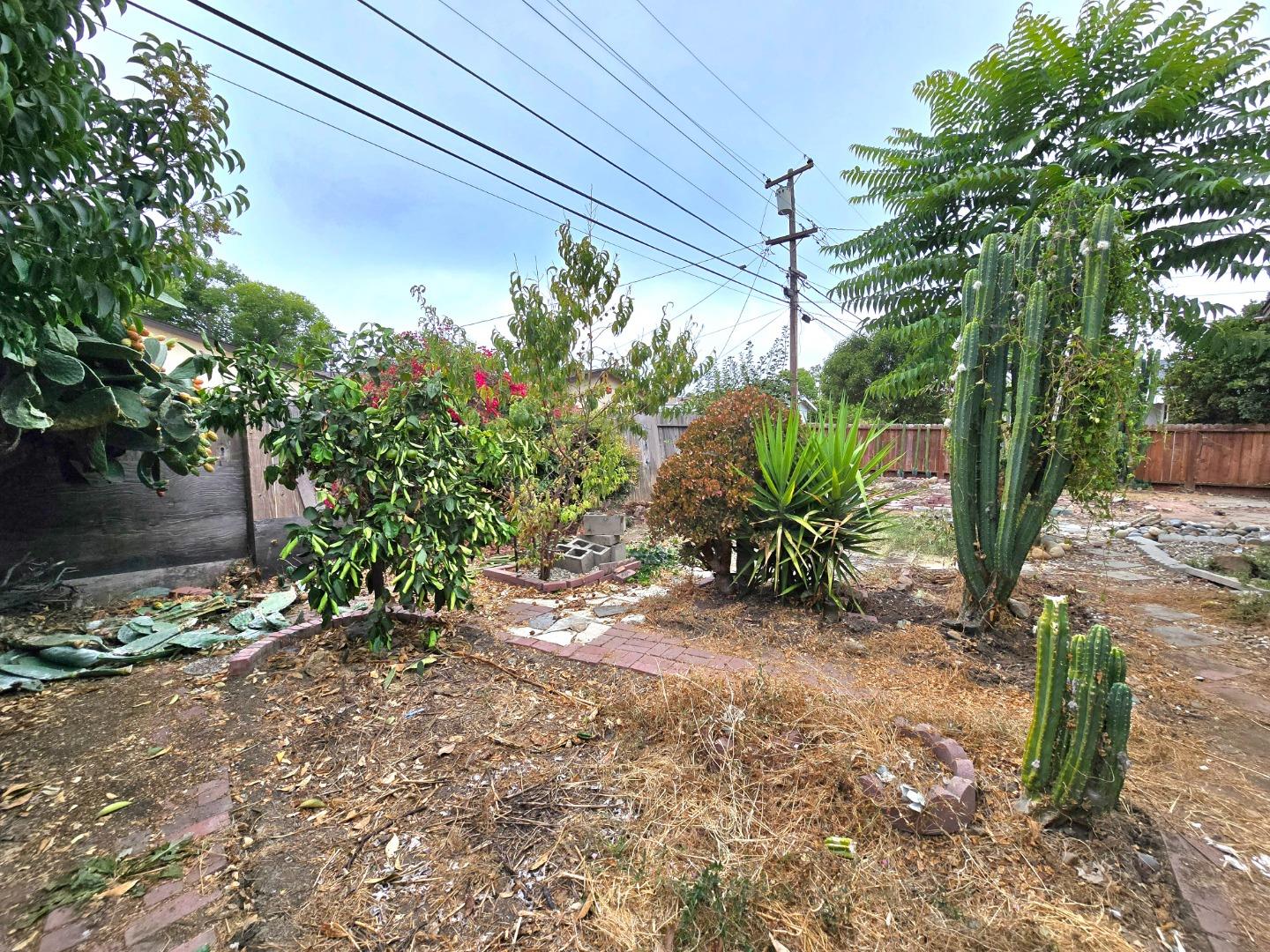 3085 Senter RD