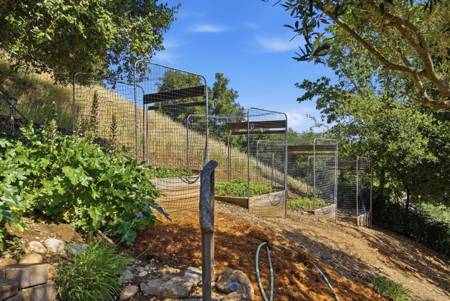 545 Bonnie View Court