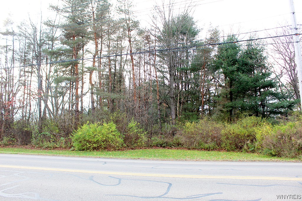 VL Vaughn Street Lot #6