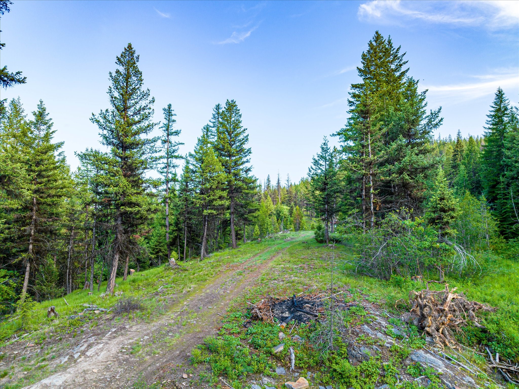 746 Lodgepole Drive