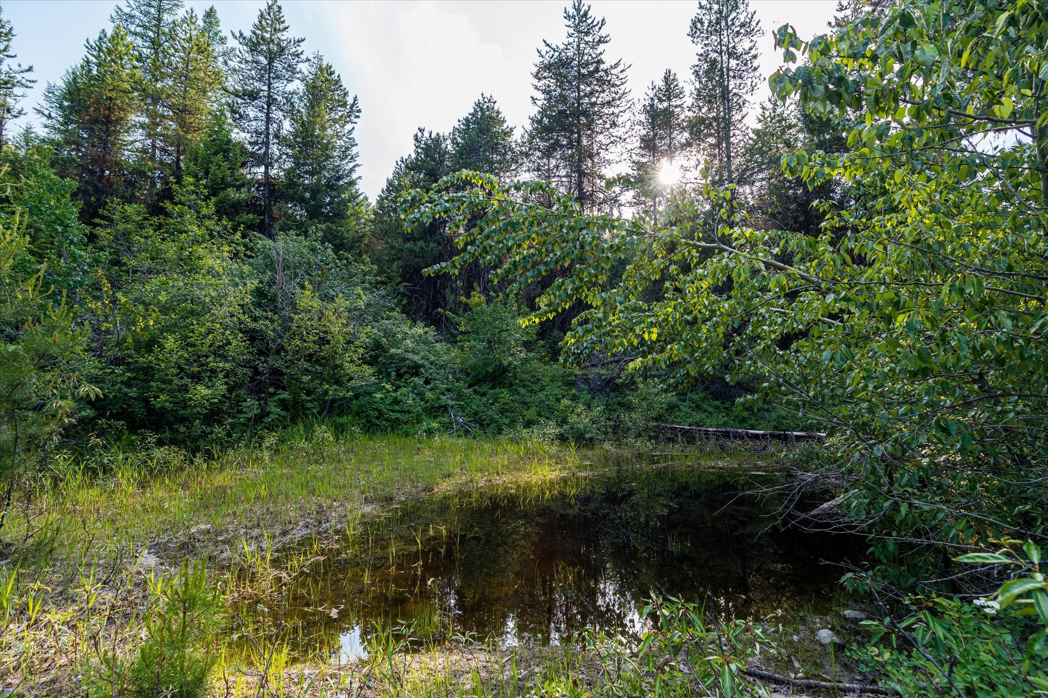 746 Lodgepole Drive