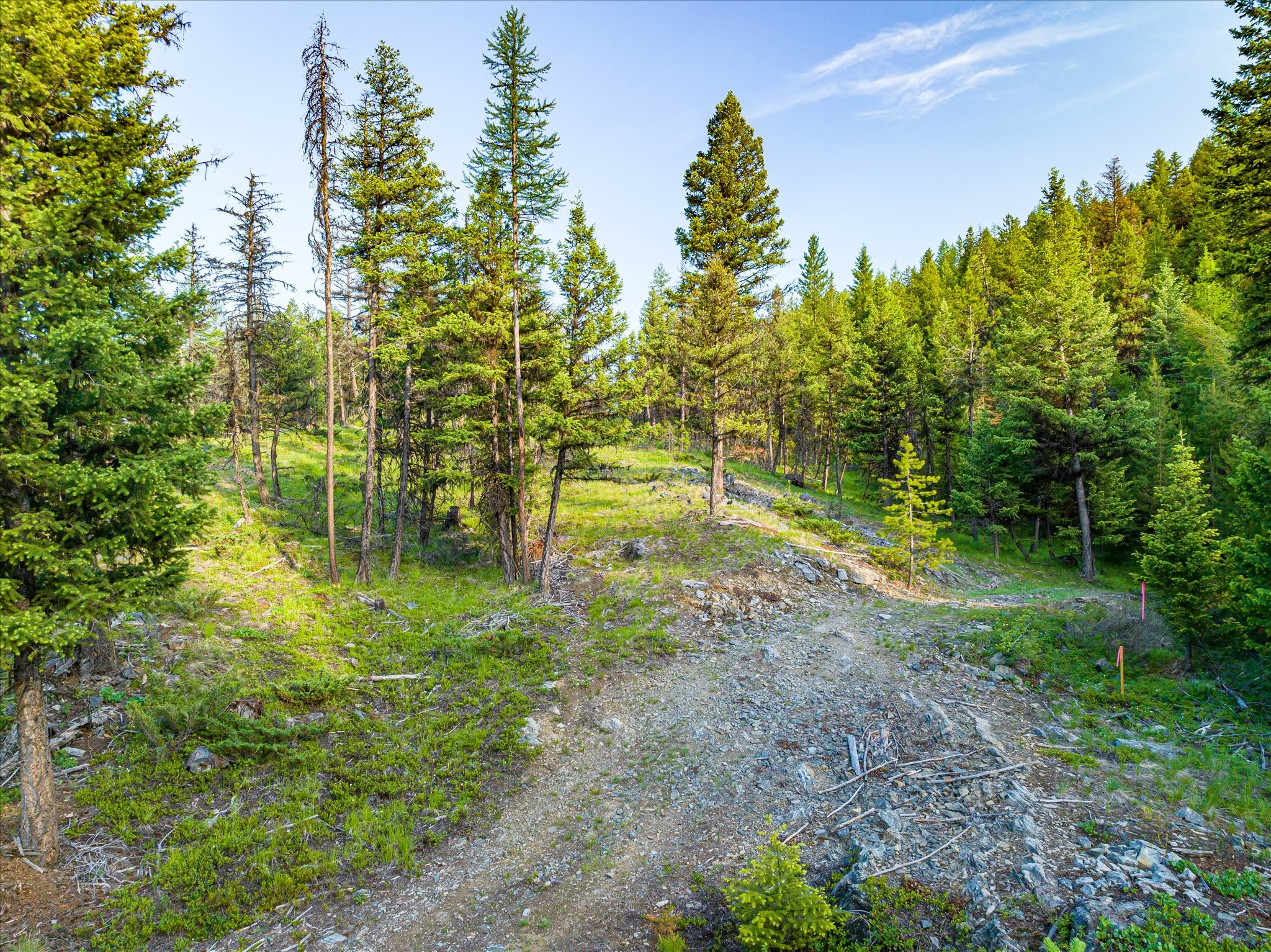 746 Lodgepole Drive