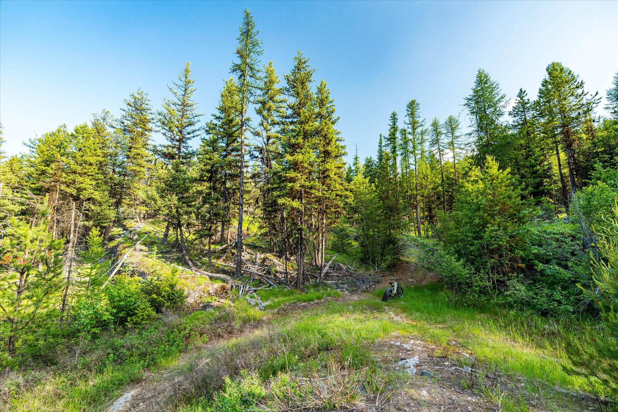 746 Lodgepole Drive