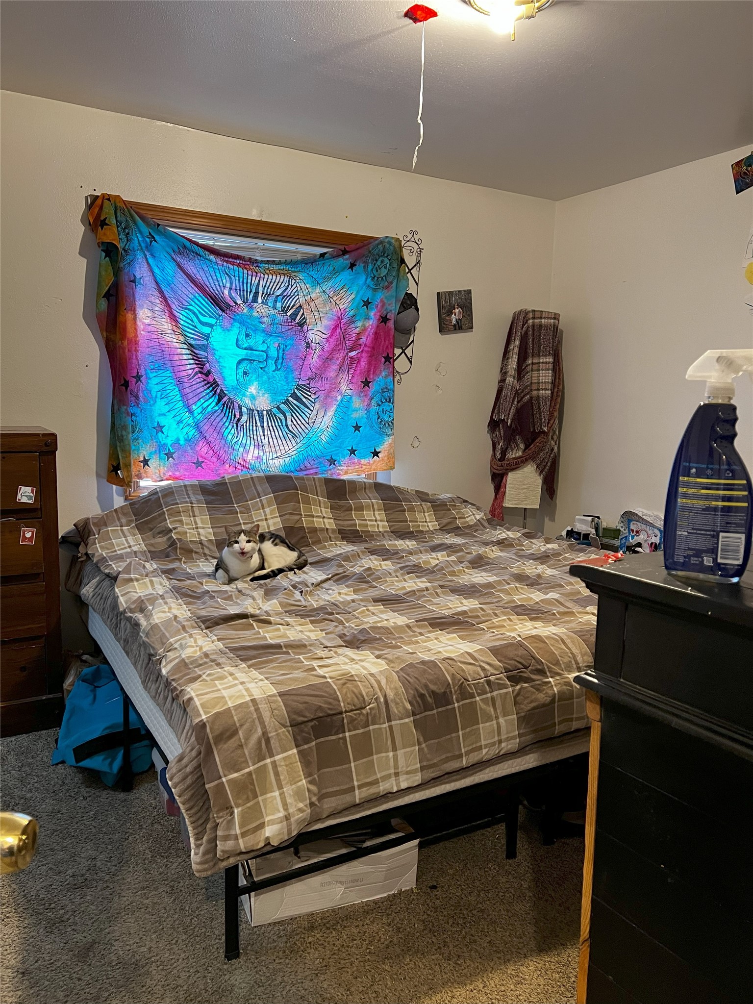 227 & 229 3rd Avenue W