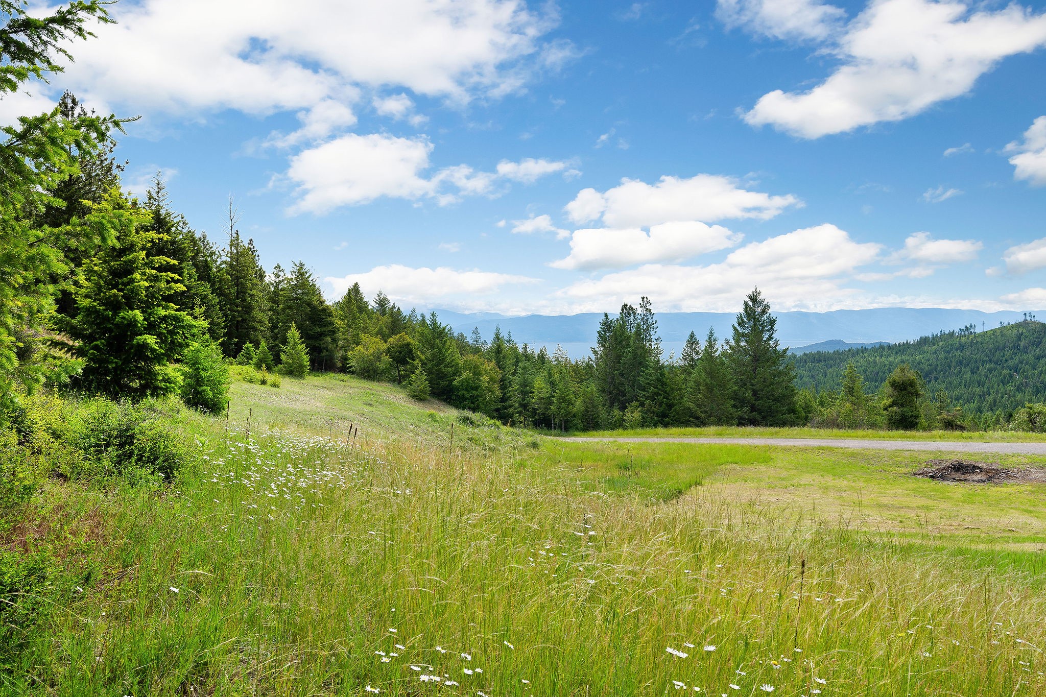 1429 Bierney Creek Road
