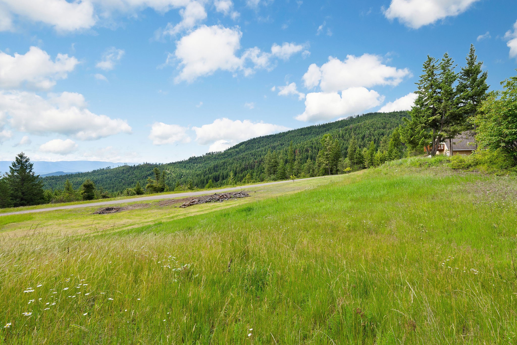 1429 Bierney Creek Road