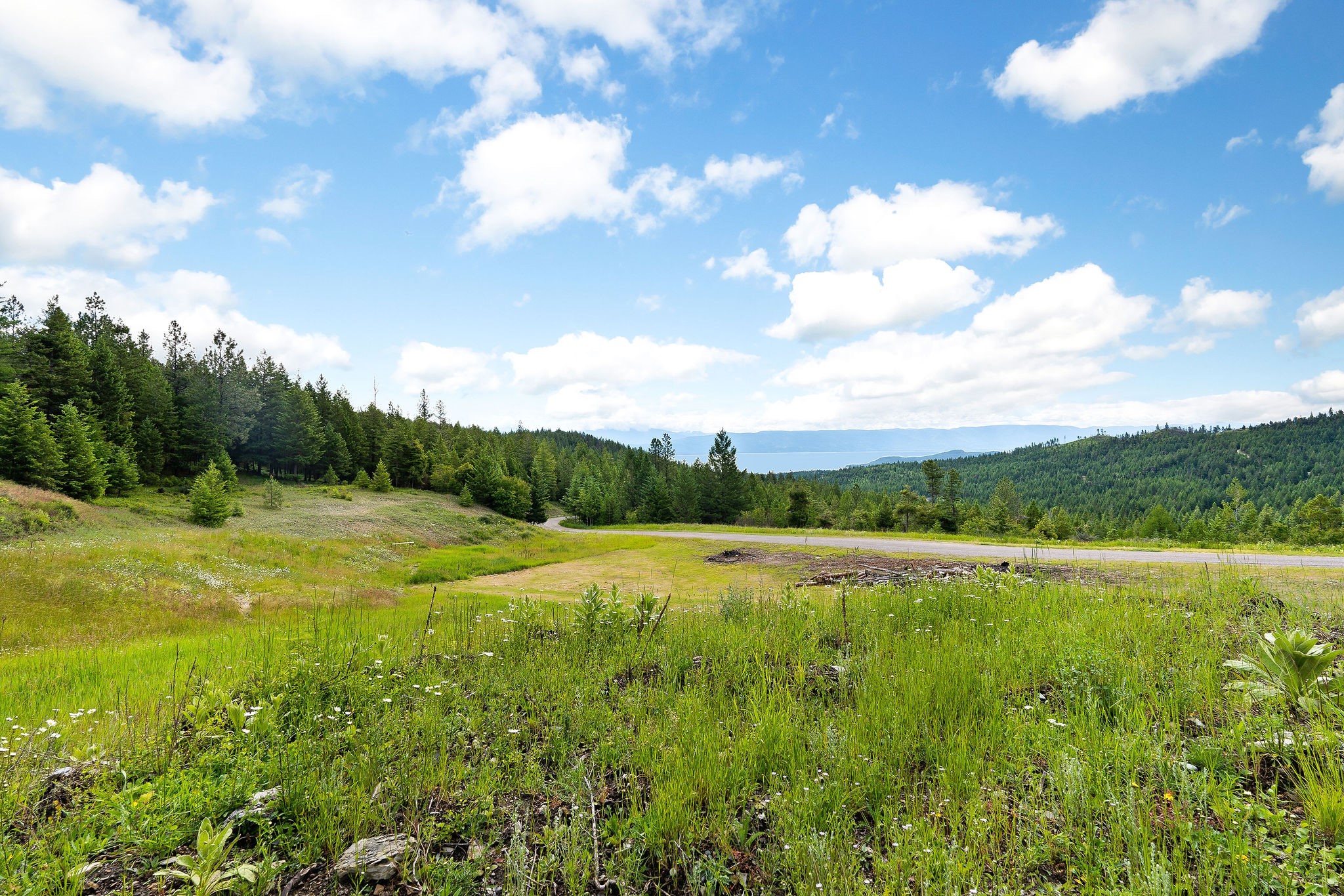 1429 Bierney Creek Road