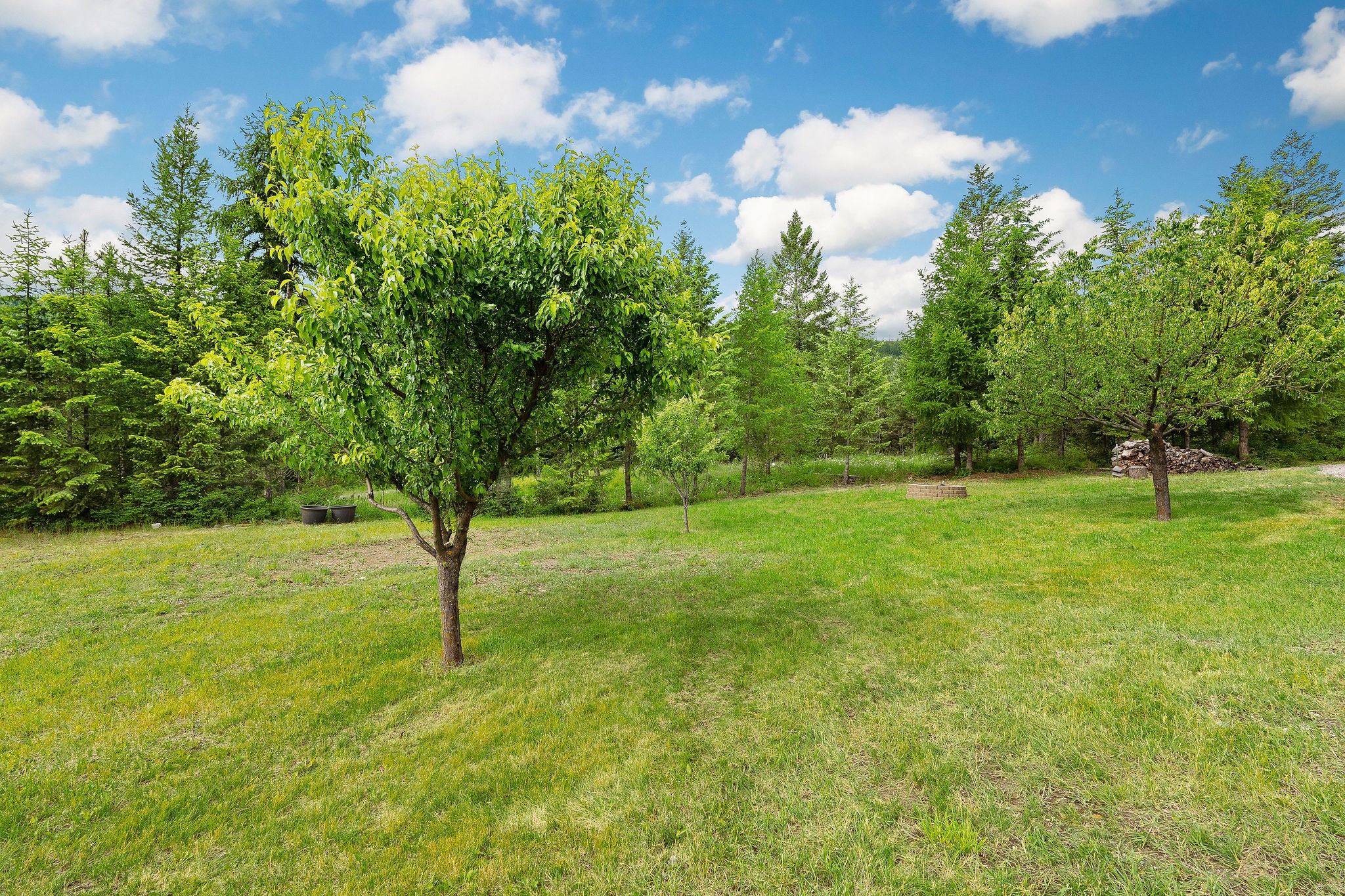 1429 Bierney Creek Road