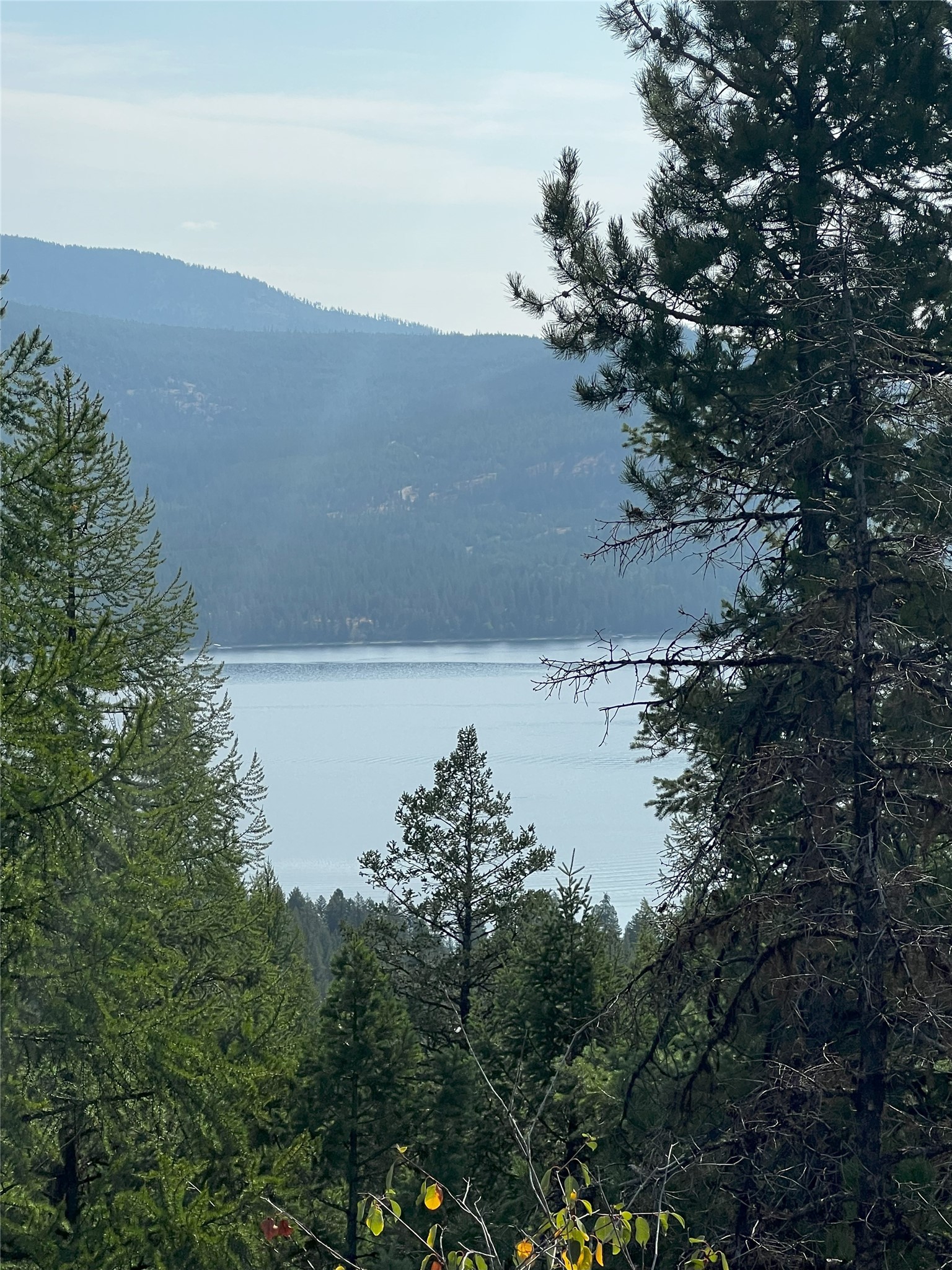 748 Lodgepole Drive