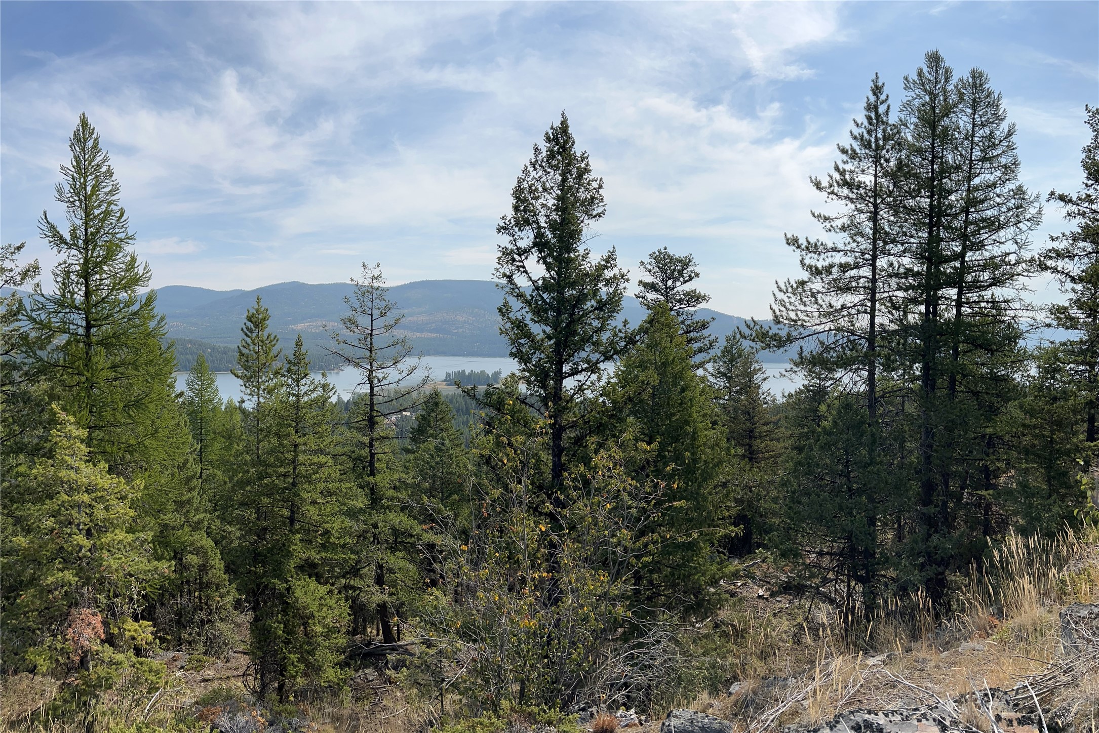 748 Lodgepole Drive