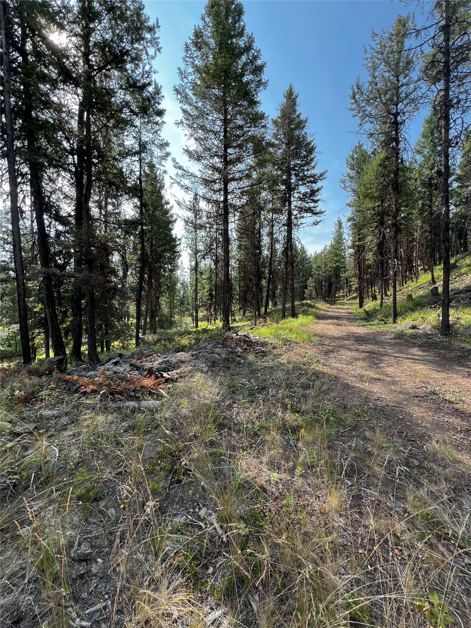 748 Lodgepole Drive