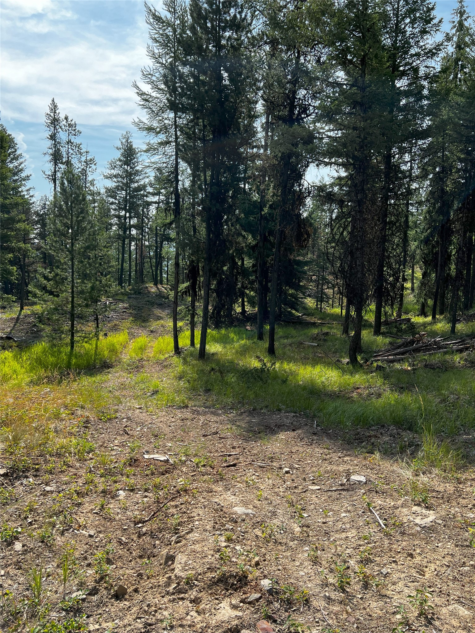 748 Lodgepole Drive