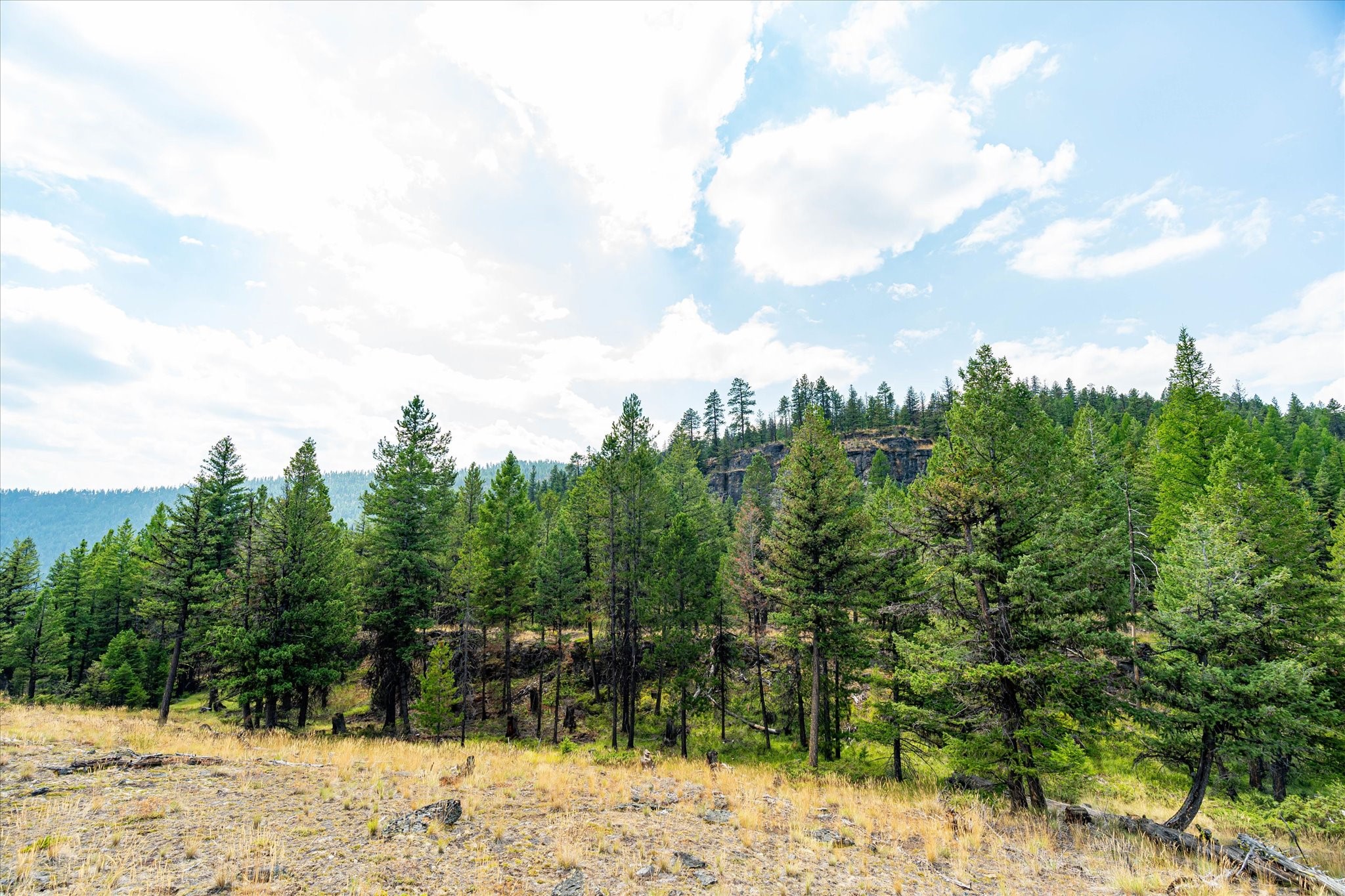 748 Lodgepole Drive