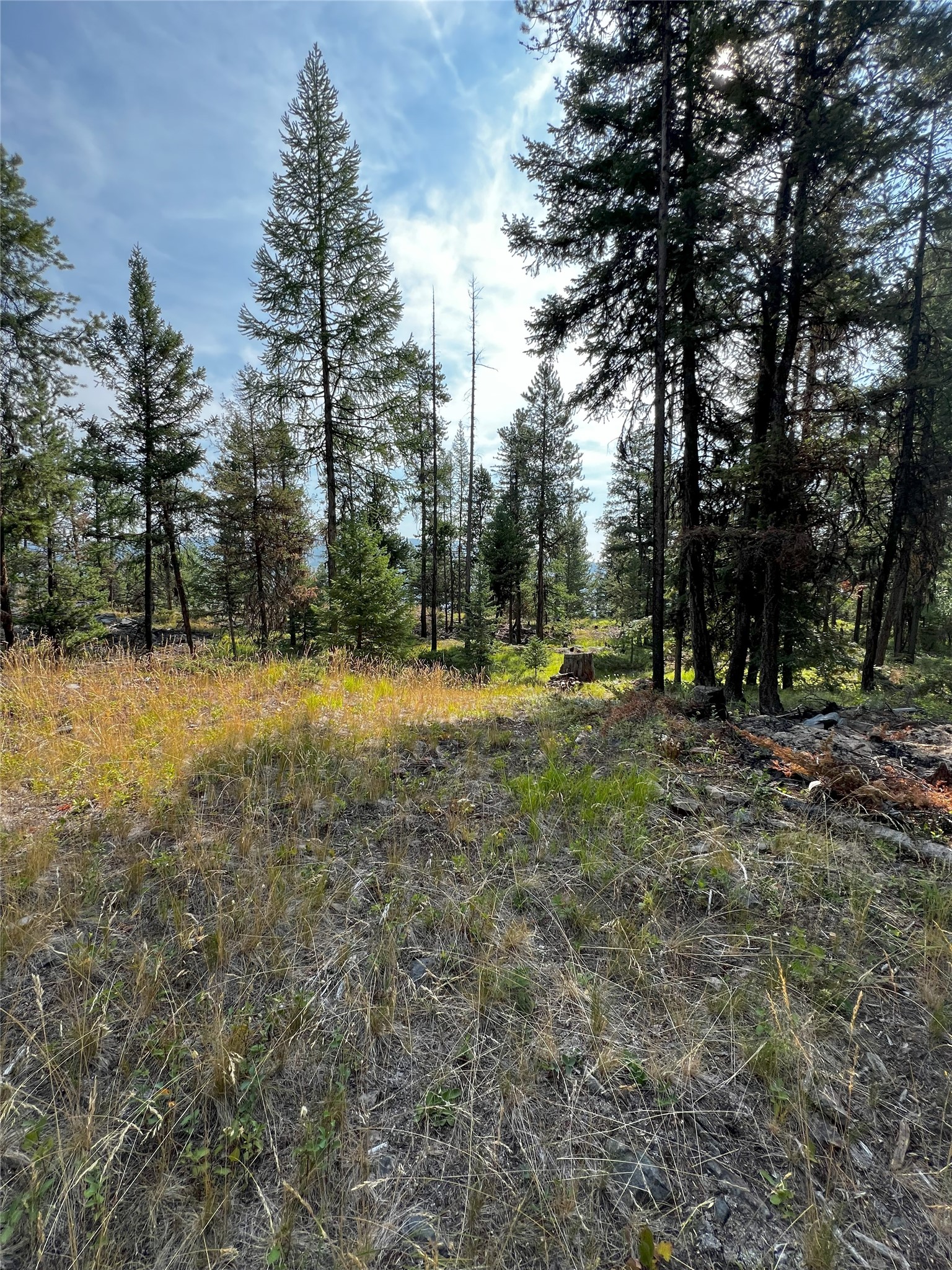 748 Lodgepole Drive