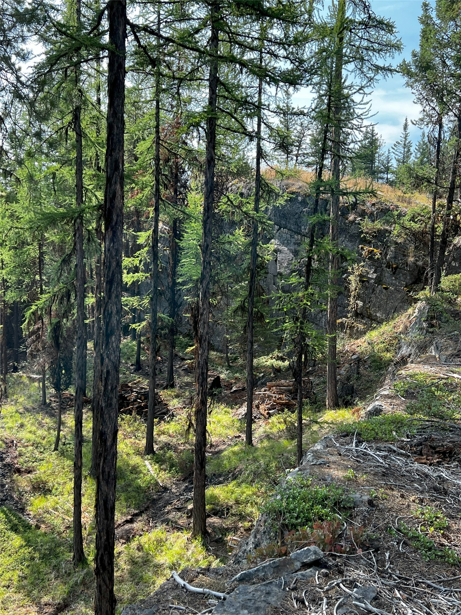748 Lodgepole Drive
