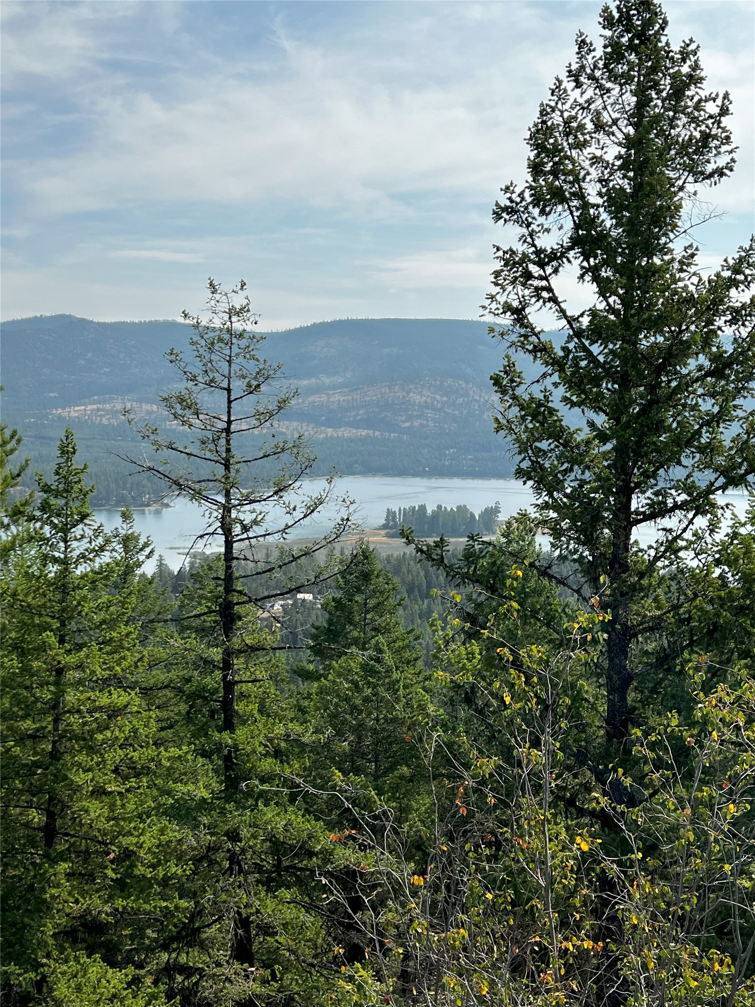 748 Lodgepole Drive