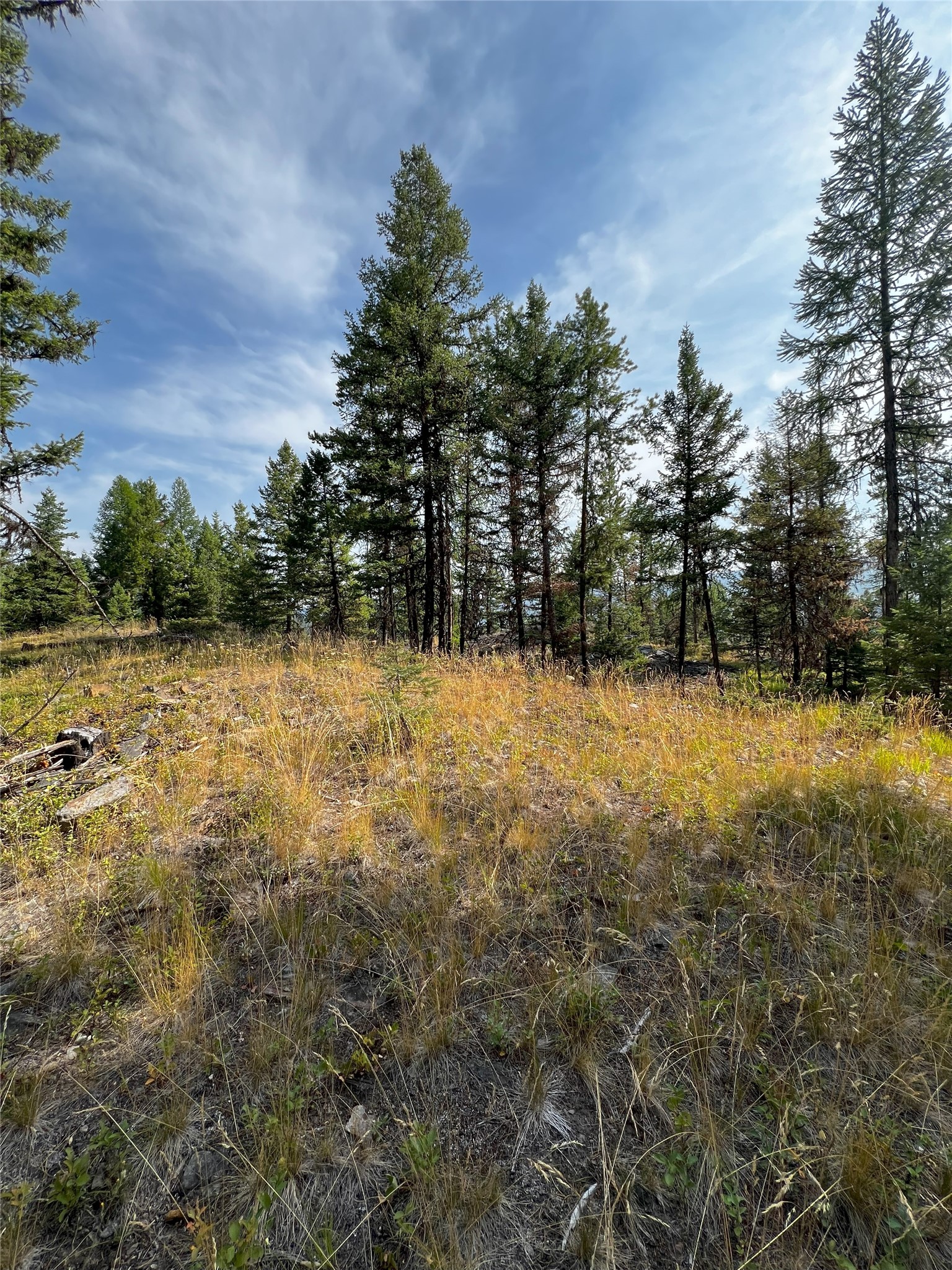 748 Lodgepole Drive