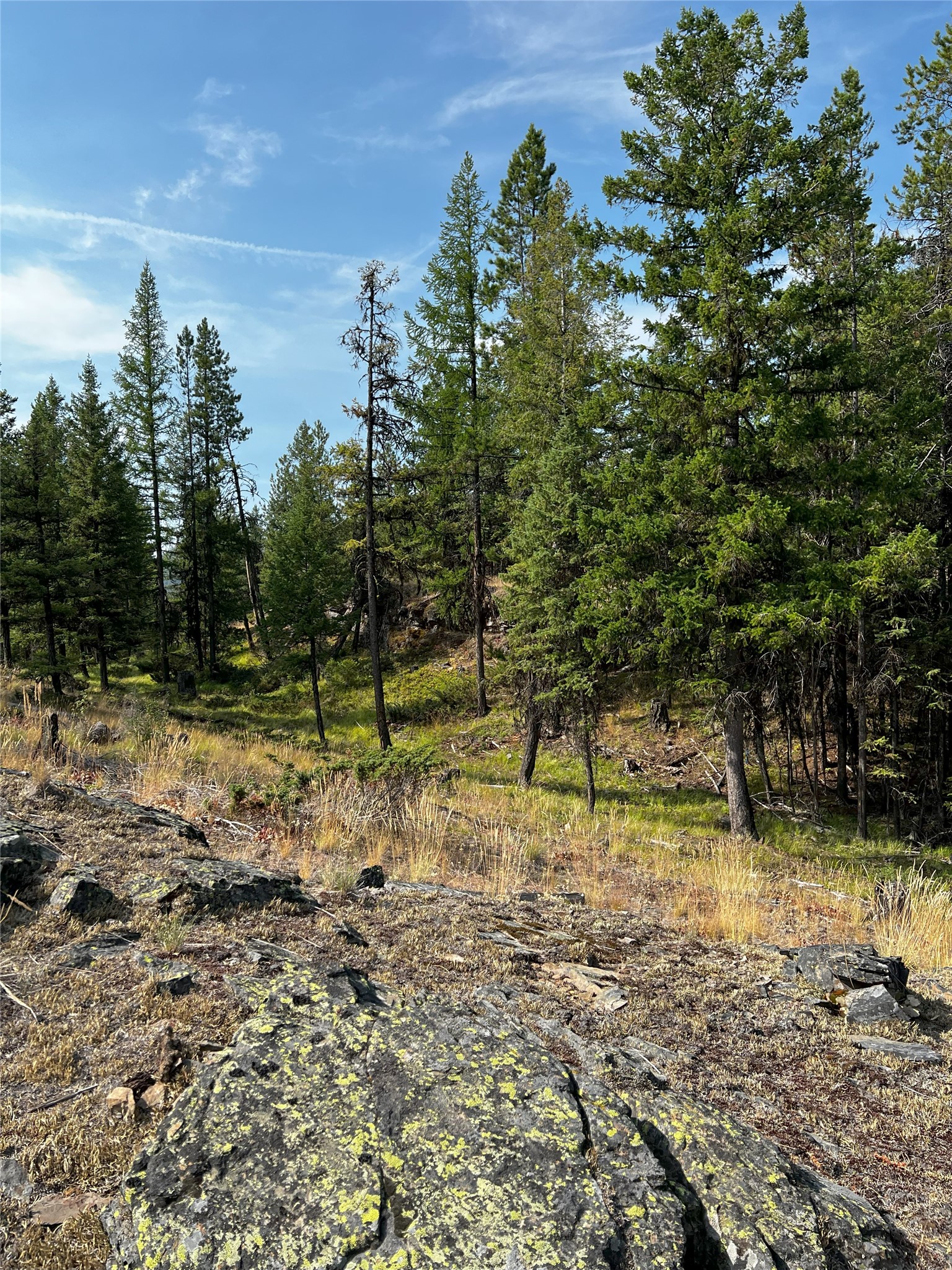 748 Lodgepole Drive