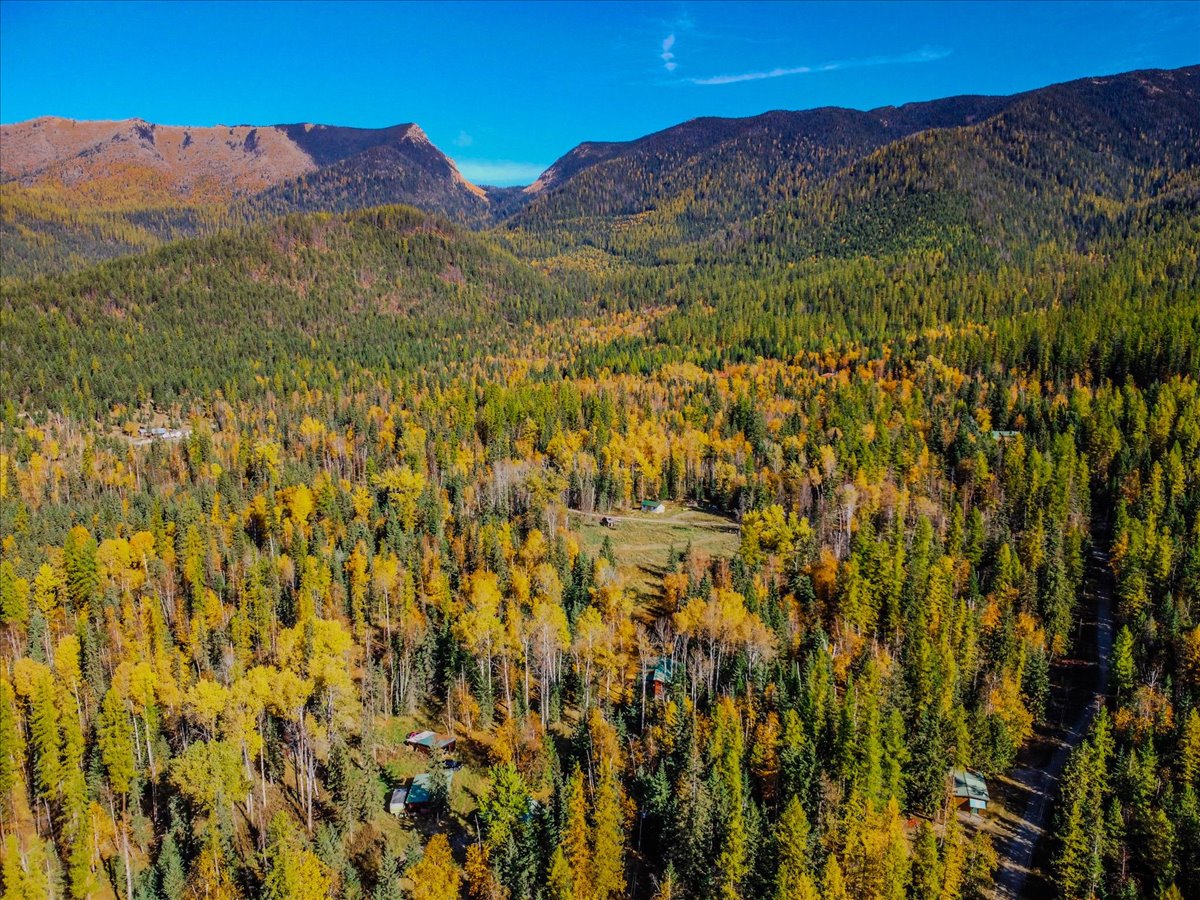 313 Griffith Creek Road