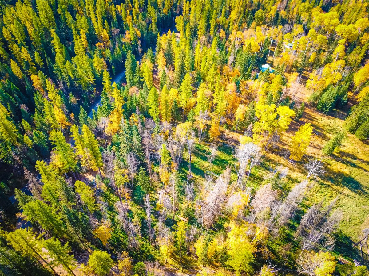 313 Griffith Creek Road