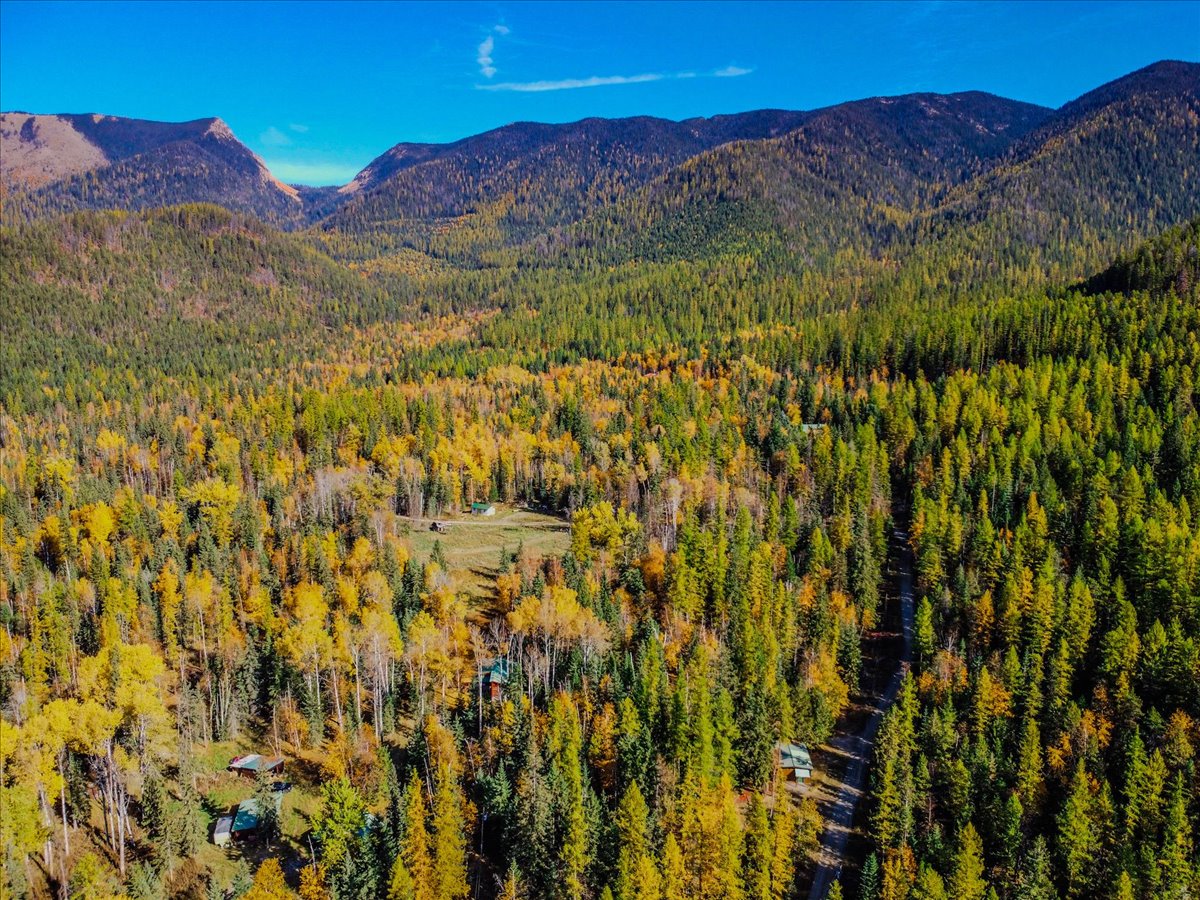 313 Griffith Creek Road