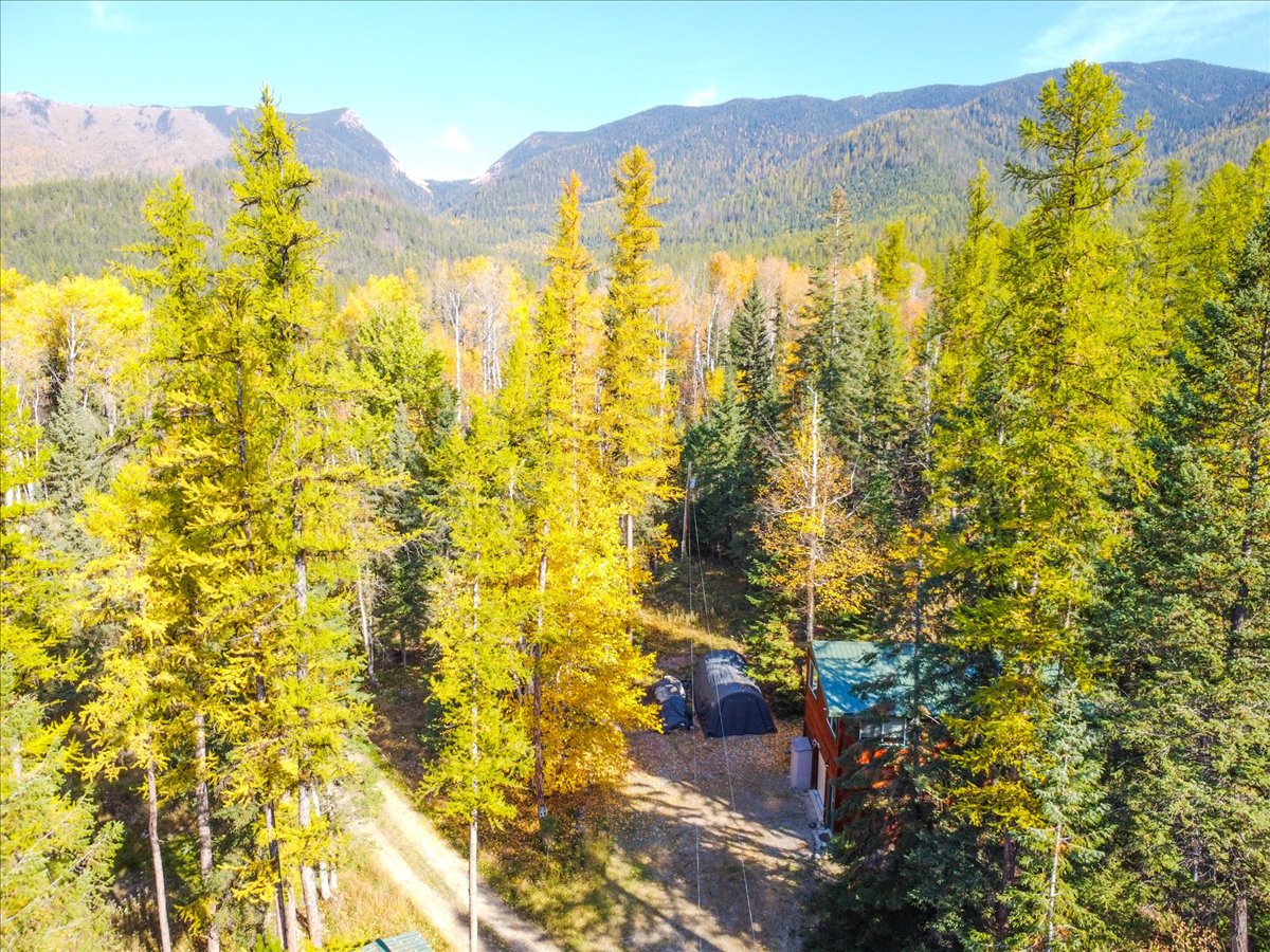 313 Griffith Creek Road