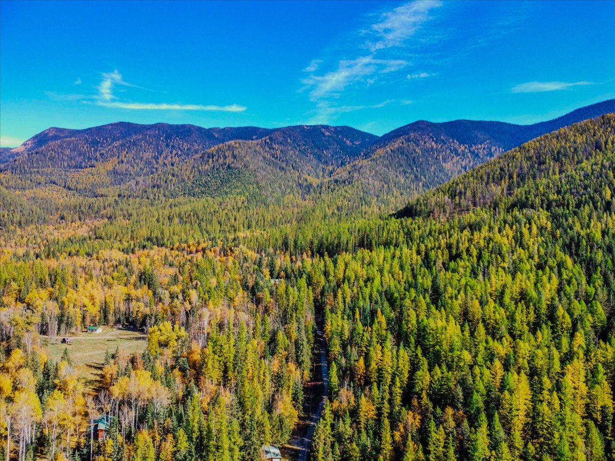 313 Griffith Creek Road