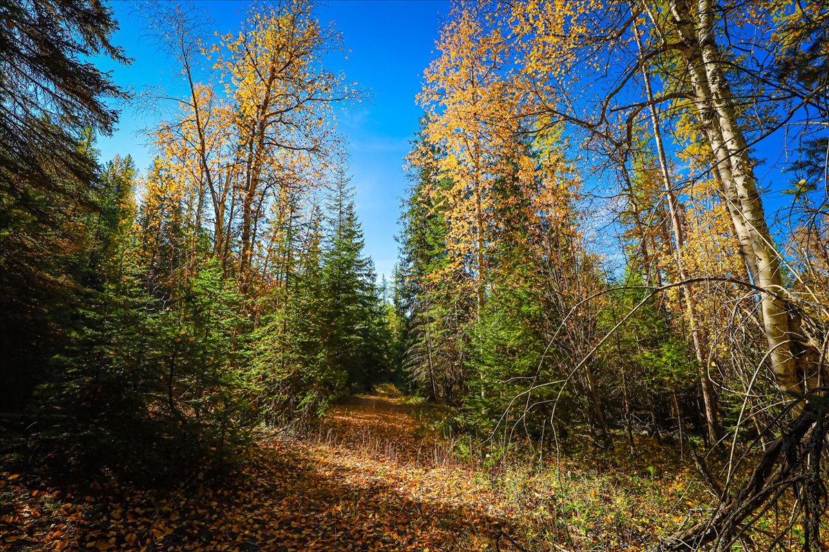 313 Griffith Creek Road