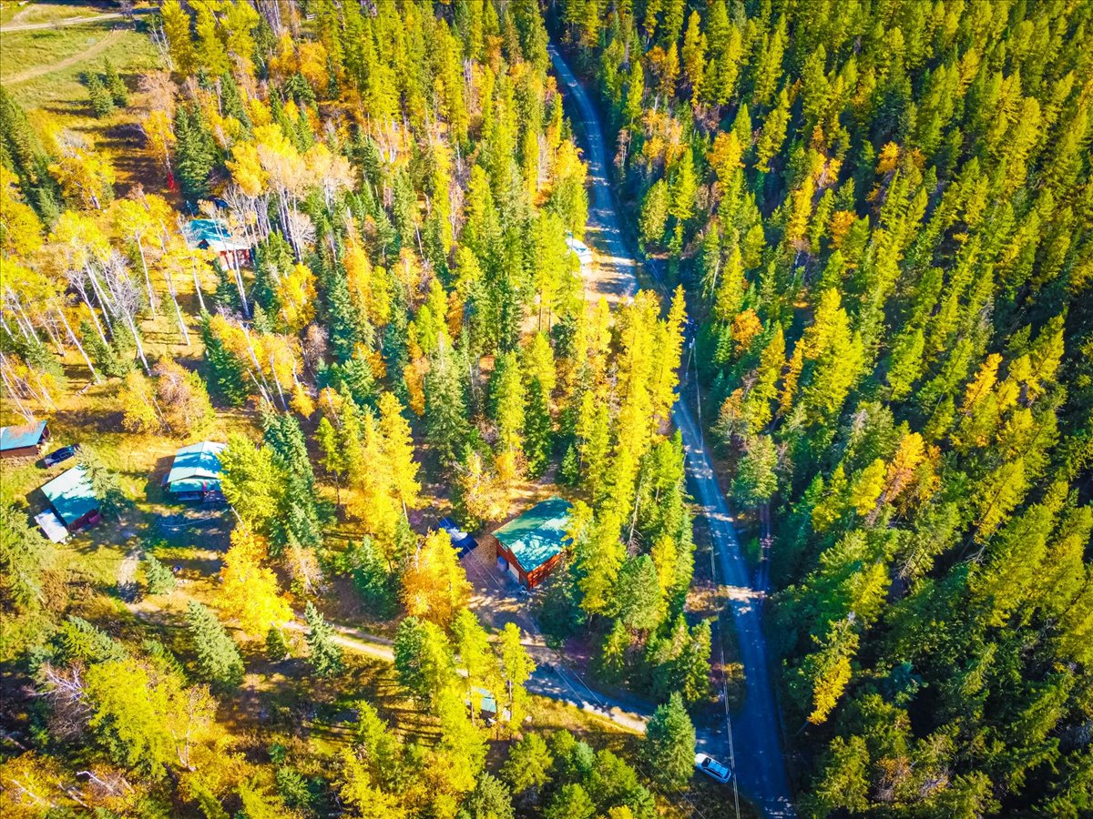 313 Griffith Creek Road
