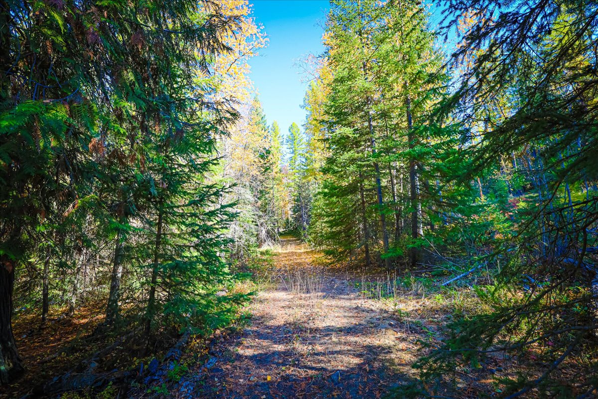 313 Griffith Creek Road