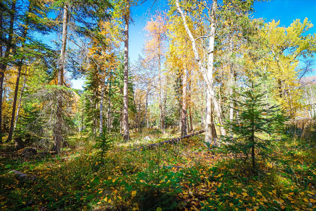 313 Griffith Creek Road