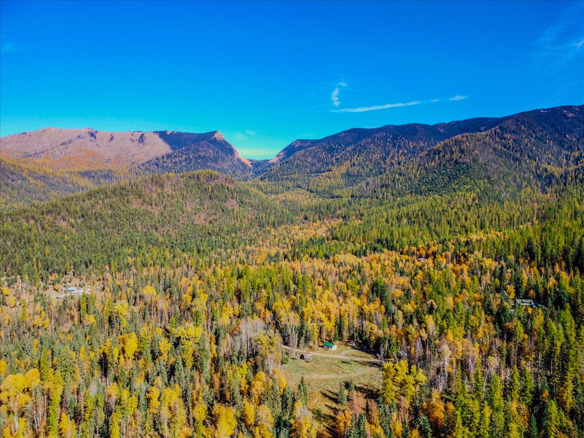 313 Griffith Creek Road