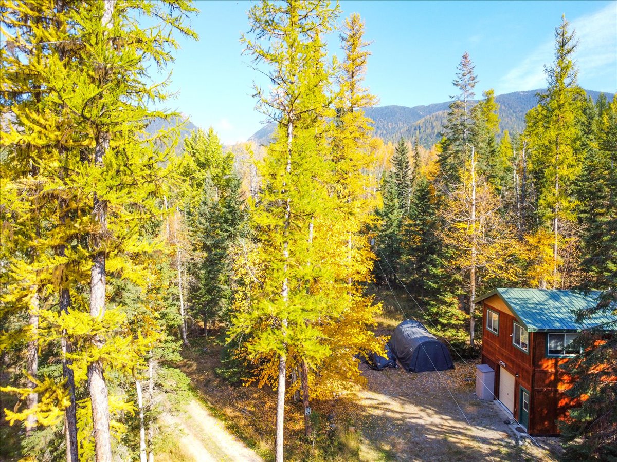 313 Griffith Creek Road