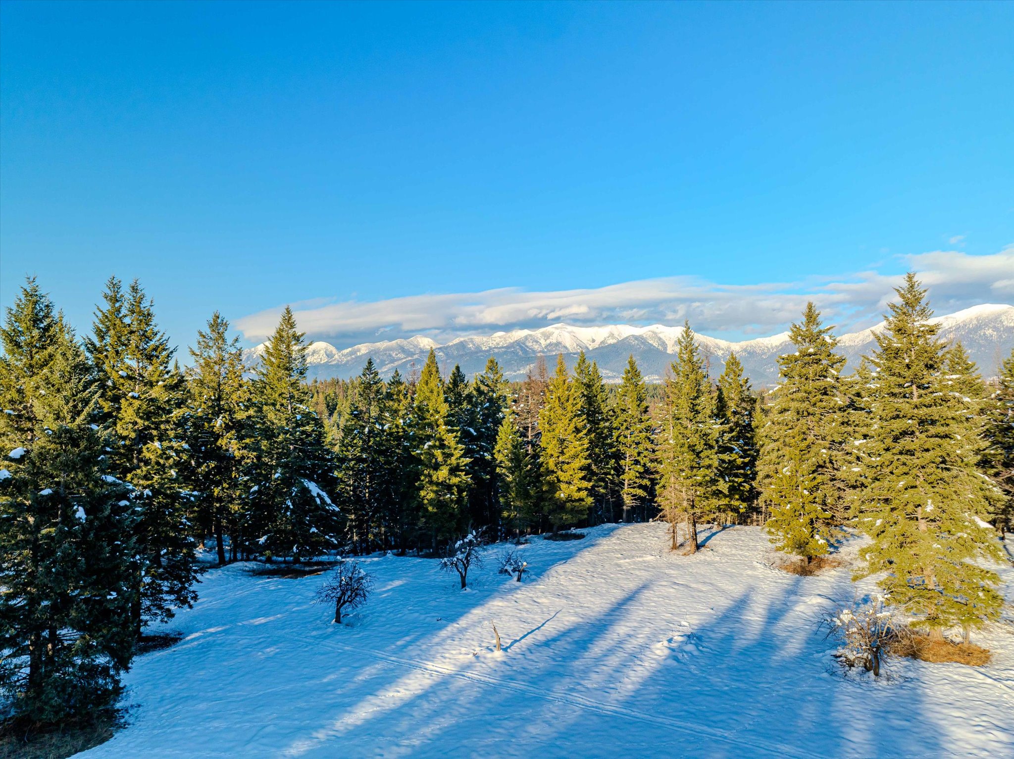 NHN Echo Bay Trail
