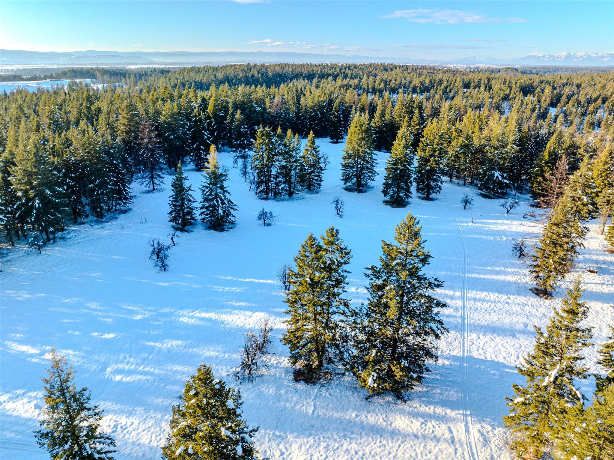 NHN Echo Bay Trail