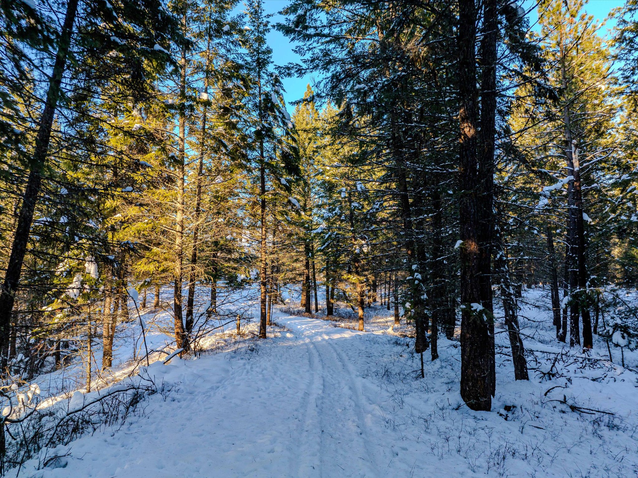 NHN Echo Bay Trail